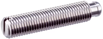 Grub Screw