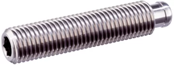 Grub Screw