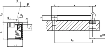                                             Lateral Plungers smooth, without seal, with female thread - INCH
 IM0003458 Zeichnung
