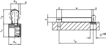                                             Lateral Plungers smooth, without seal
 IM0003463 Zeichnung
