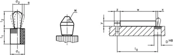                                             Lateral Plungers with plastic spring and pin - INCH
 IM0006593 Zeichnung
