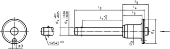                                             Clamp Lock Pins with button handle
 IM0009548 Zeichnung
