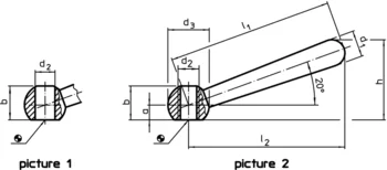                                             Tapered Levers DIN 99
 IM0001301 Zeichnung en
