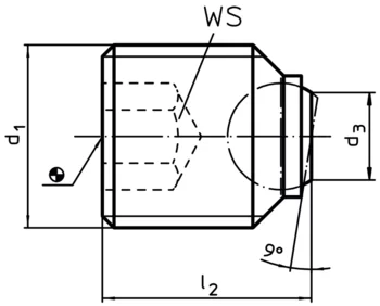                                             Ball-Ended Thrust Screws headless, short
 IM0002379 Zeichnung en
