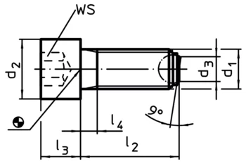                                             Ball-Ended Thrust Screws headed, flat-faced ball
 IM0002427 Zeichnung en
