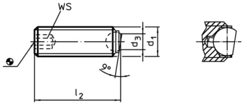                                             Ball-Ended Thrust Screws headless, ball protected against rotating
 IM0002451 Zeichnung en
