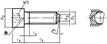                                             Ball-Ended Thrust Screws headed, ball protected against rotating
 IM0002463 Zeichnung en
